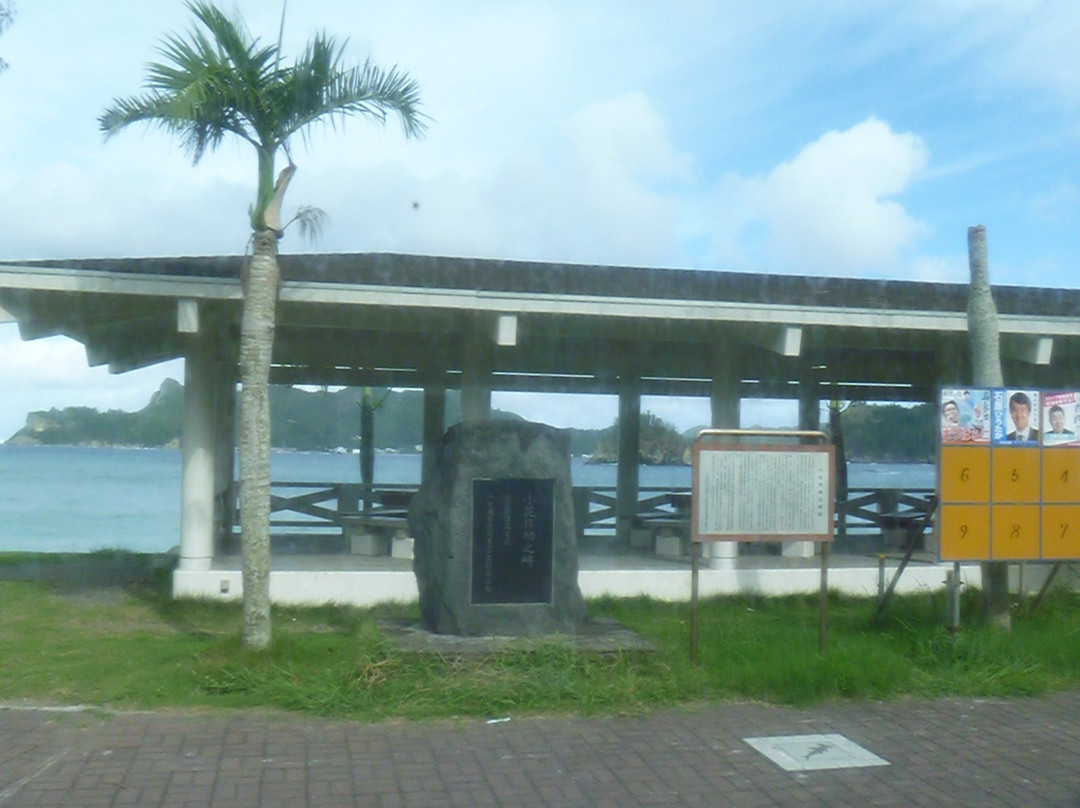 Ogiura Beach-小笠原村必去景点