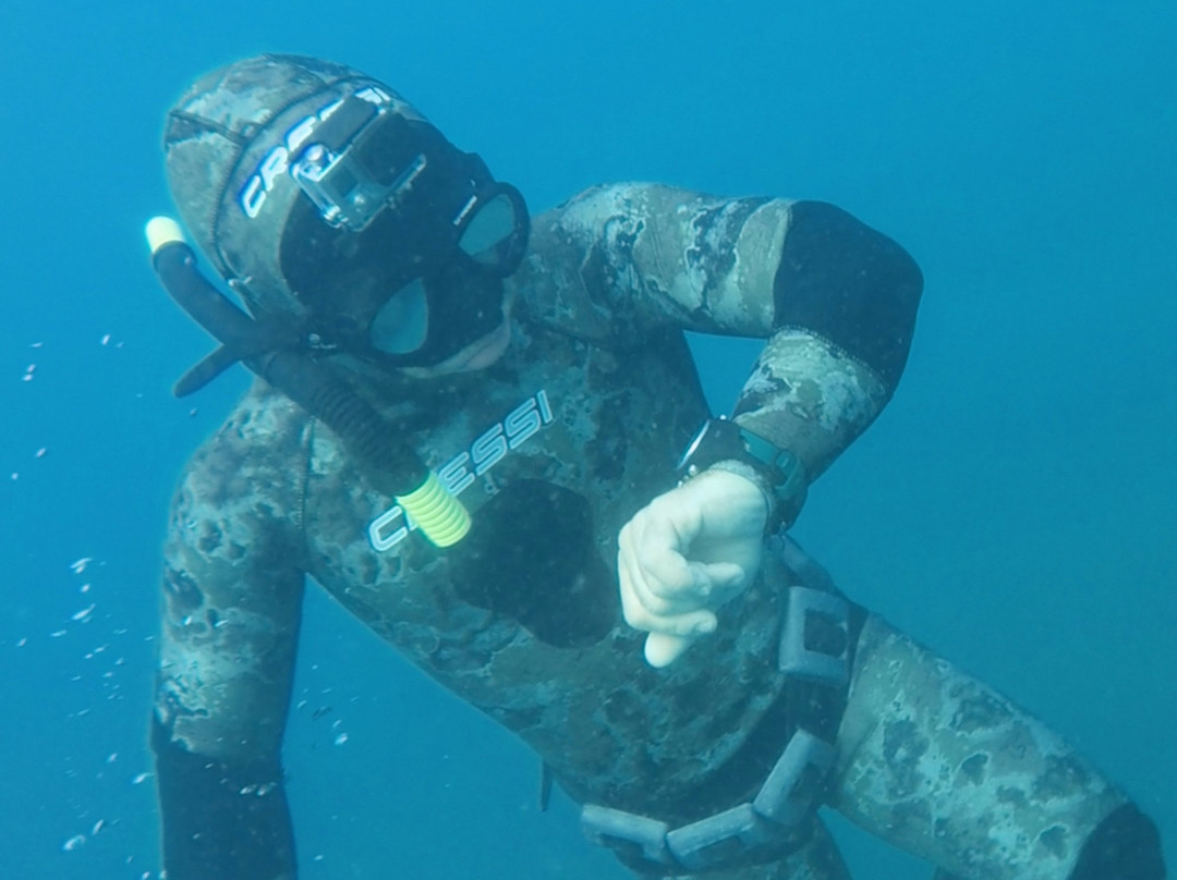 Bay City Scuba-Bellarine必去景点