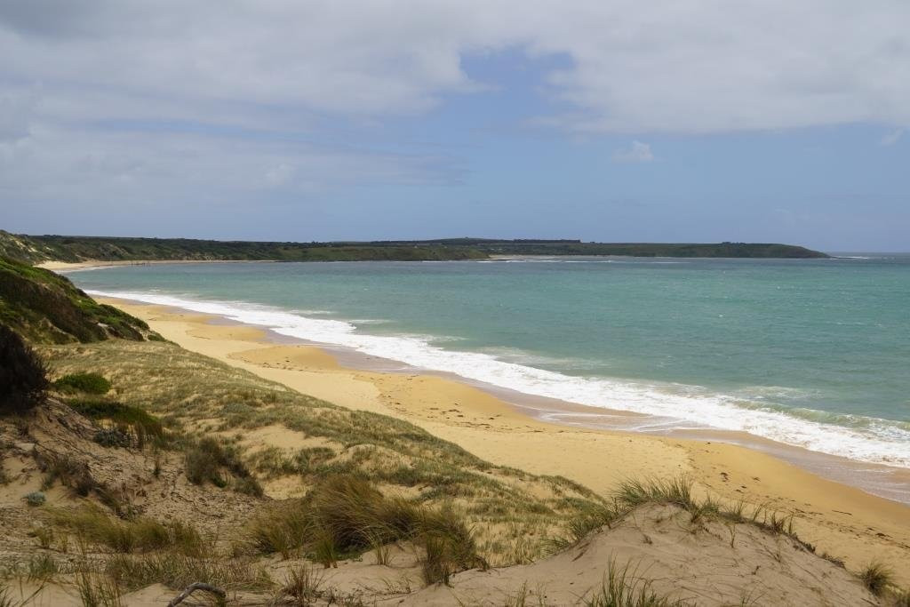 Flynns Beach景点图片
