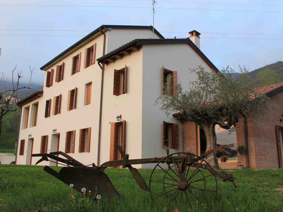 Ca' del Ciliegio