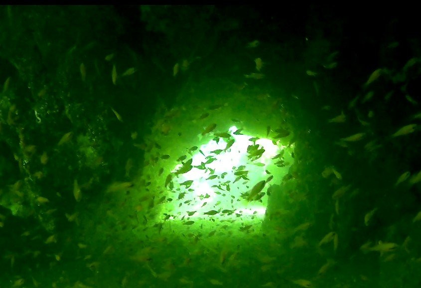 Centro de Buceo VillaricoSub景点图片