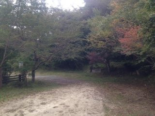 Maruyama Park景点图片