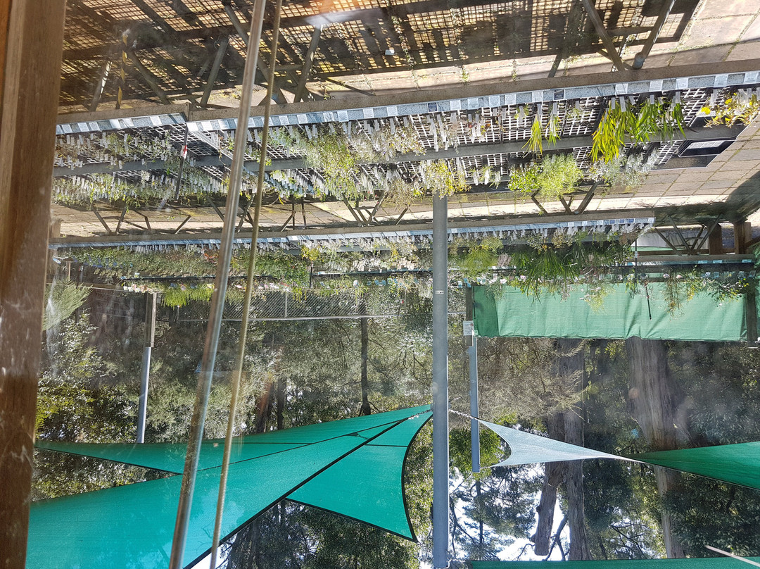 Karwarra Australian Plant Garden-Kalorama必去景点