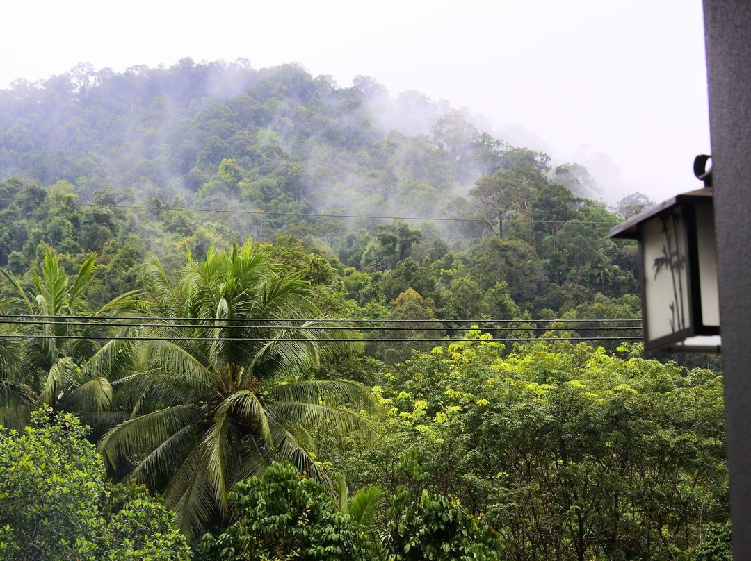 Bamboo Family Inn主图