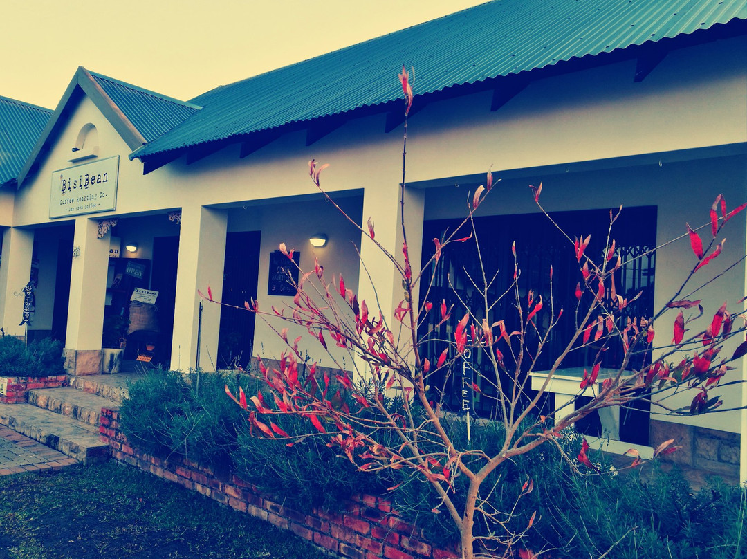 BisiBean Coffee Roasting Co.