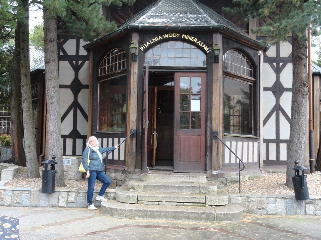 Kurhaus Bad Flinsberg主图