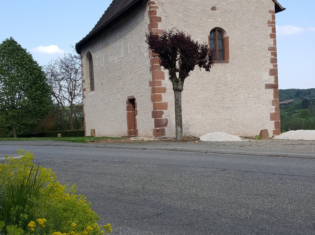 Office de Tourisme Intercommunal  du Mont Sainte-Odile景点图片