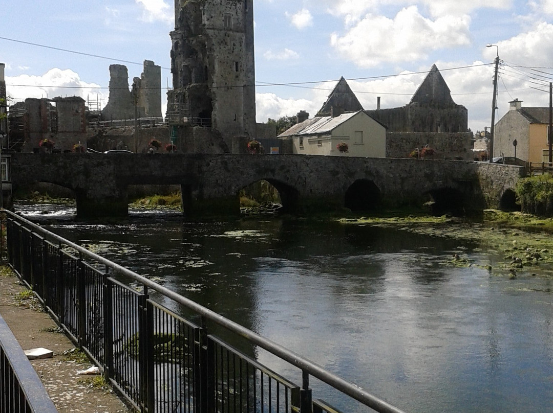 Askeaton Castle-Askeaton必去景点