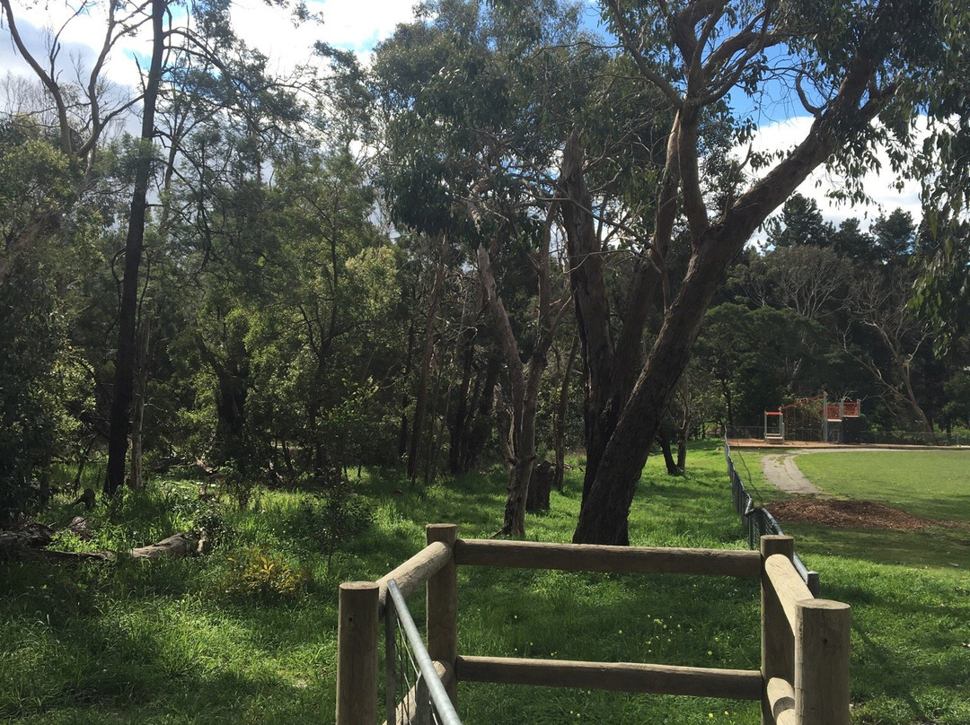 Olivers Creek Bushland Reserve景点图片