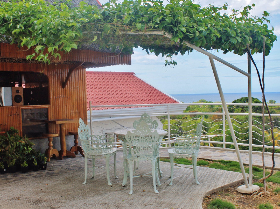 Vidas Mountain Stay-Bohol主图