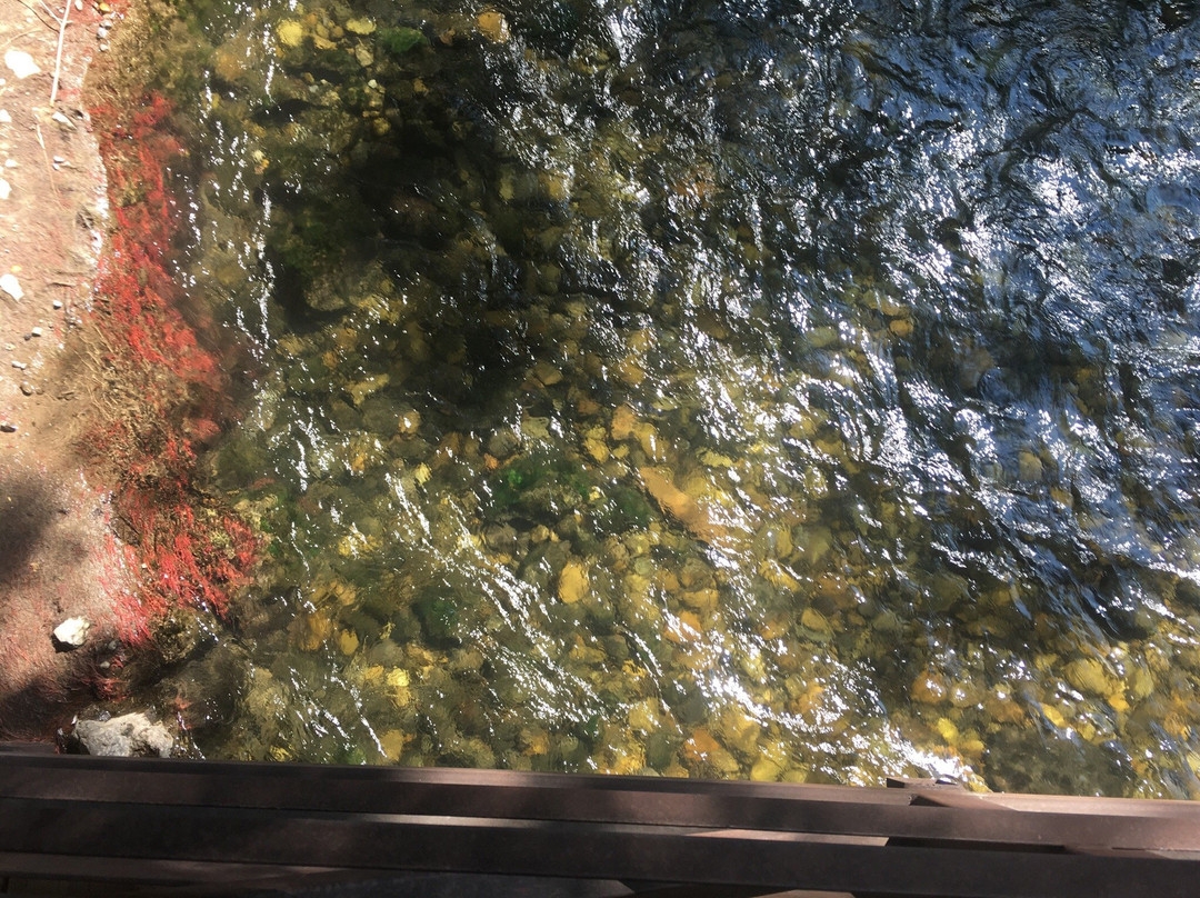 Logan River Trail-洛根必去景点