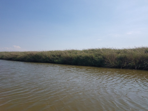 黄沙古渡生态旅游区-银川市必去景点