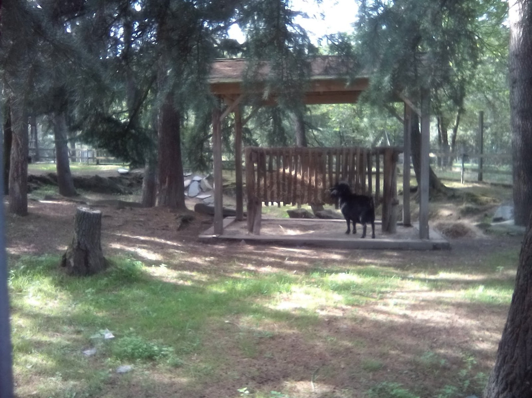 Parc de la Garenne景点图片