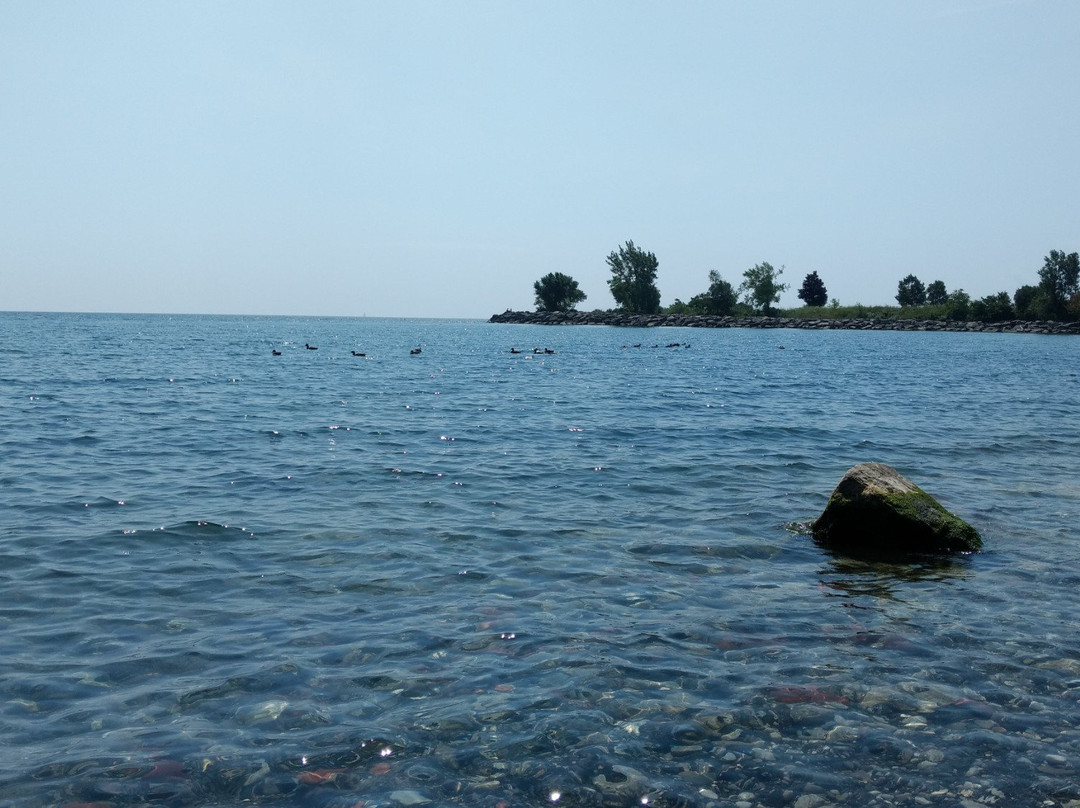 Colonel Sam Smith Park-多伦多必去景点