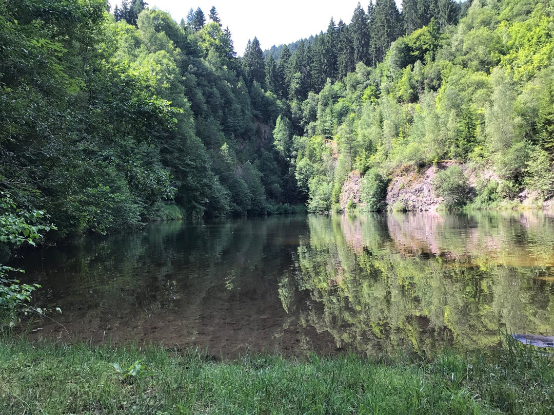 Silbersee-Schenkenzell必去景点