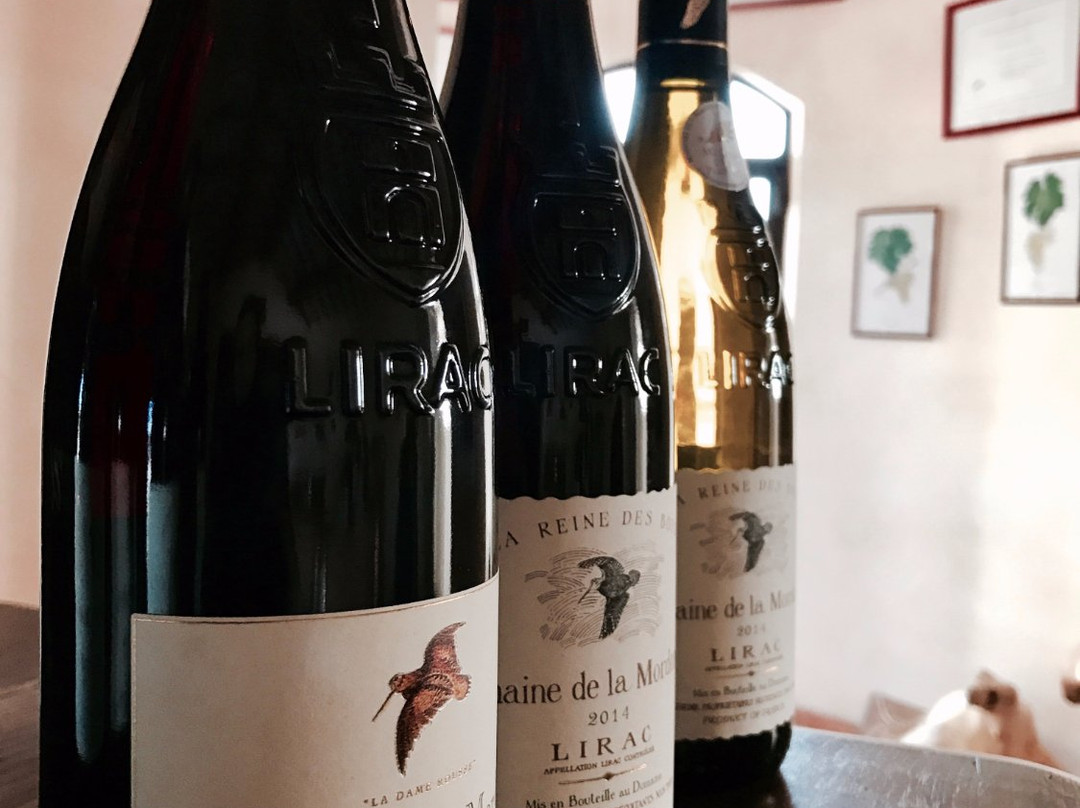 Domaine de la Mordorée-Tavel必去景点