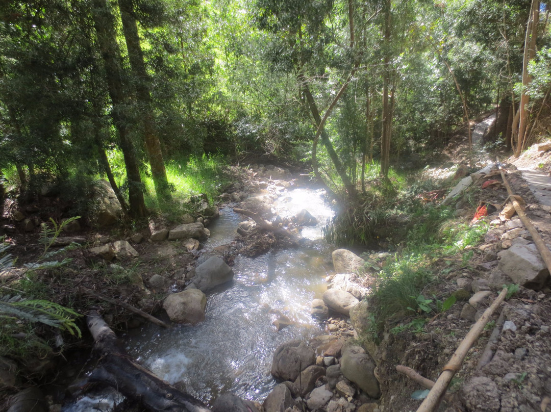 Hotel Pinares del Carrizalito主图