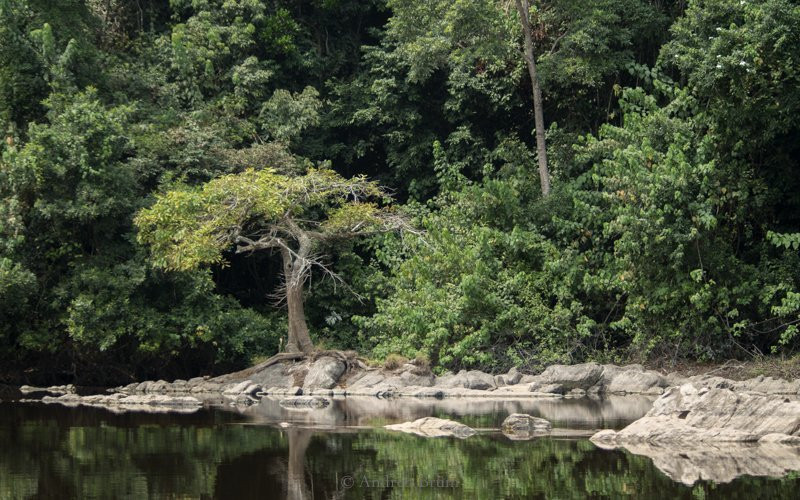 Ivindo National Park-Ogooue-Ivindo Province必去景点