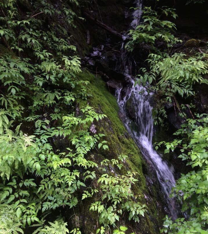 Whale Pass Library-凯奇坎必去景点