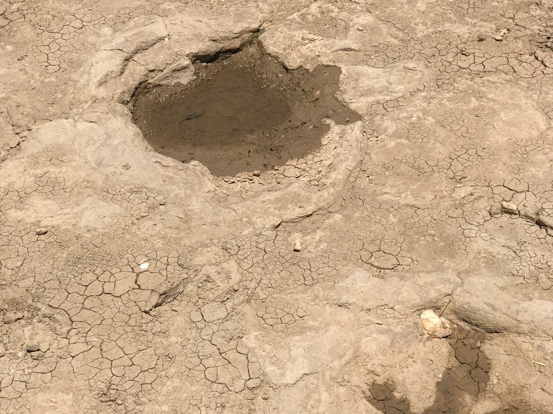 Dinosaur Quarry-Kenton必去景点