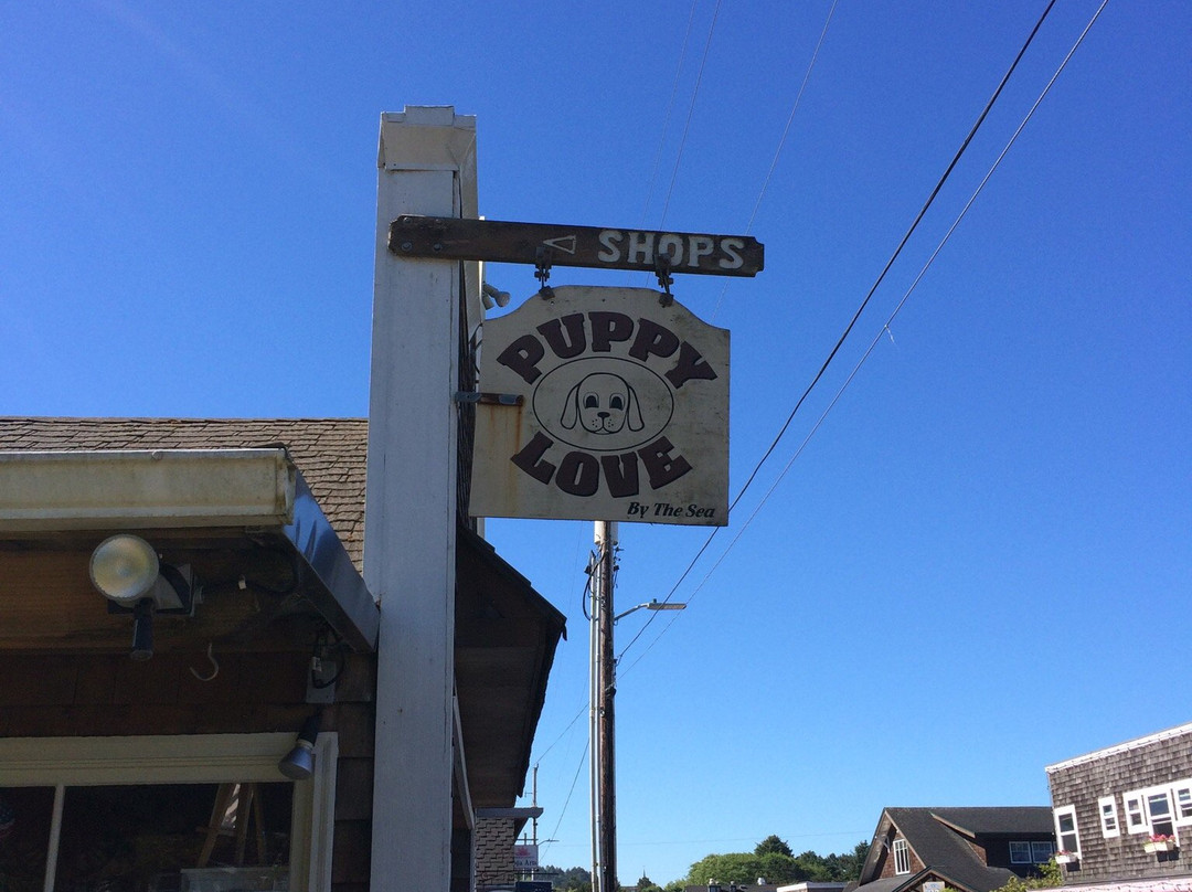 Puppy Love by the Sea-坎农比奇必去景点