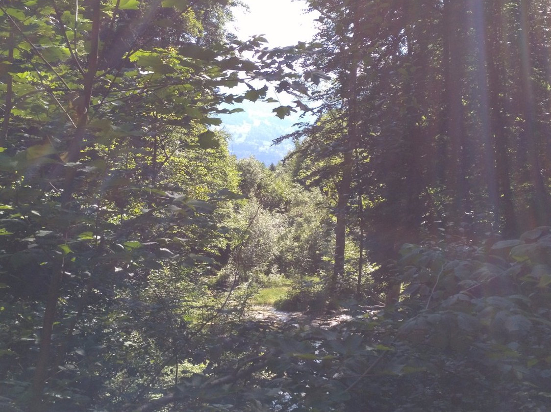 Schluchtenweg Sevelen-Sevelen必去景点