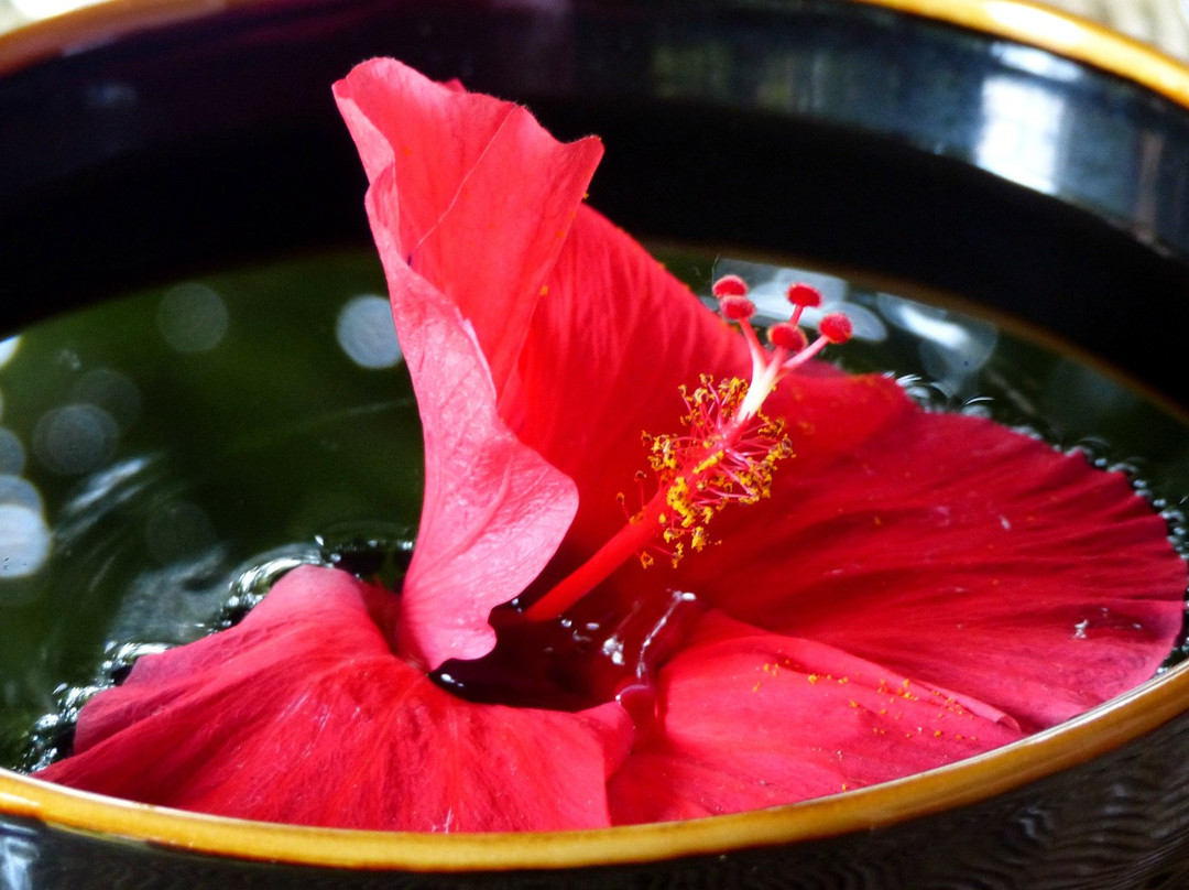 Banteay Srey Yoga Studio景点图片