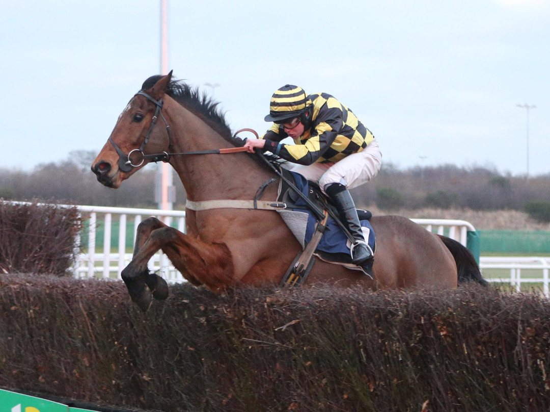 Newcastle Racecourse景点图片