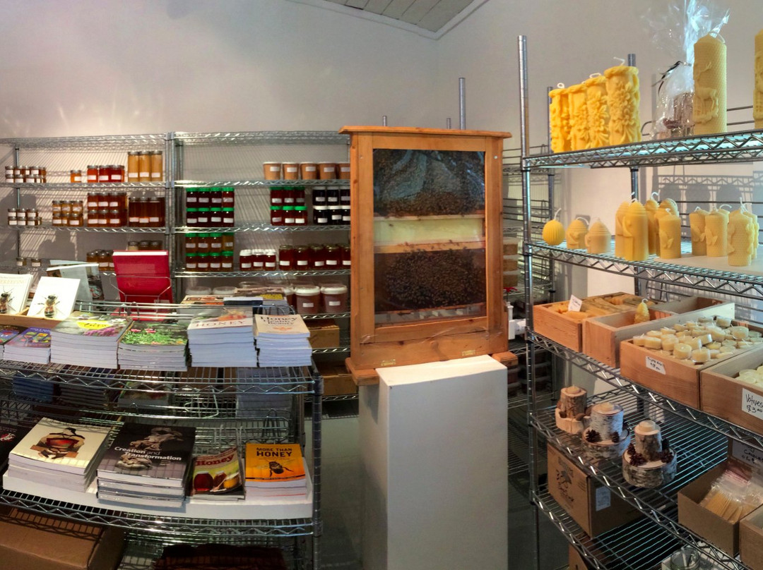 Beeland-Spillimacheen必去景点