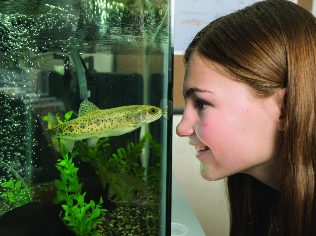 UC Davis Tahoe Environmental Research Center-因克莱恩村必去景点