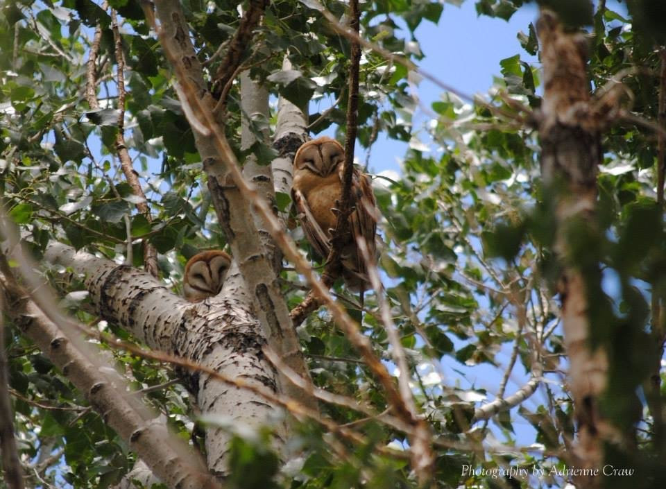 Otter Creek State Park-Antimony必去景点