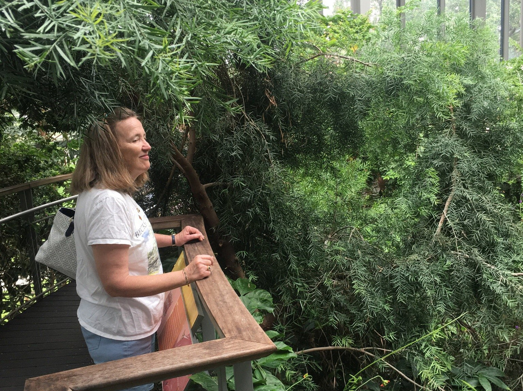 发现花园-达拉斯必去景点