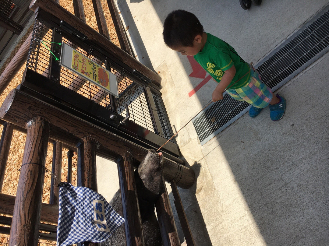 Akatsukayama Park (Gyogyo Land)-丰川市必去景点