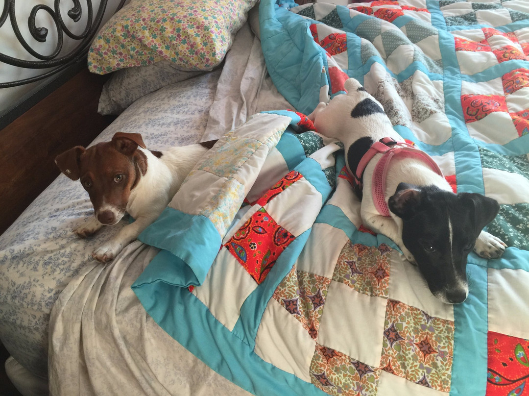 Palouse Ice Rink-莫斯科必去景点