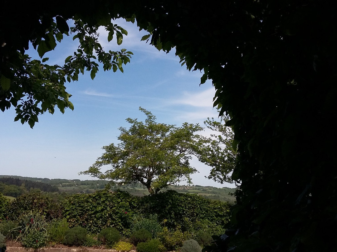 Le Jardin de la Mothe景点图片