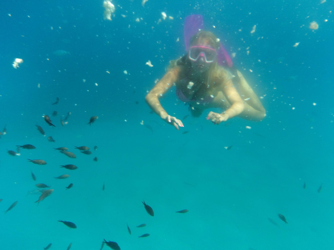 Sandra's Sea Fun-罗德斯必去景点