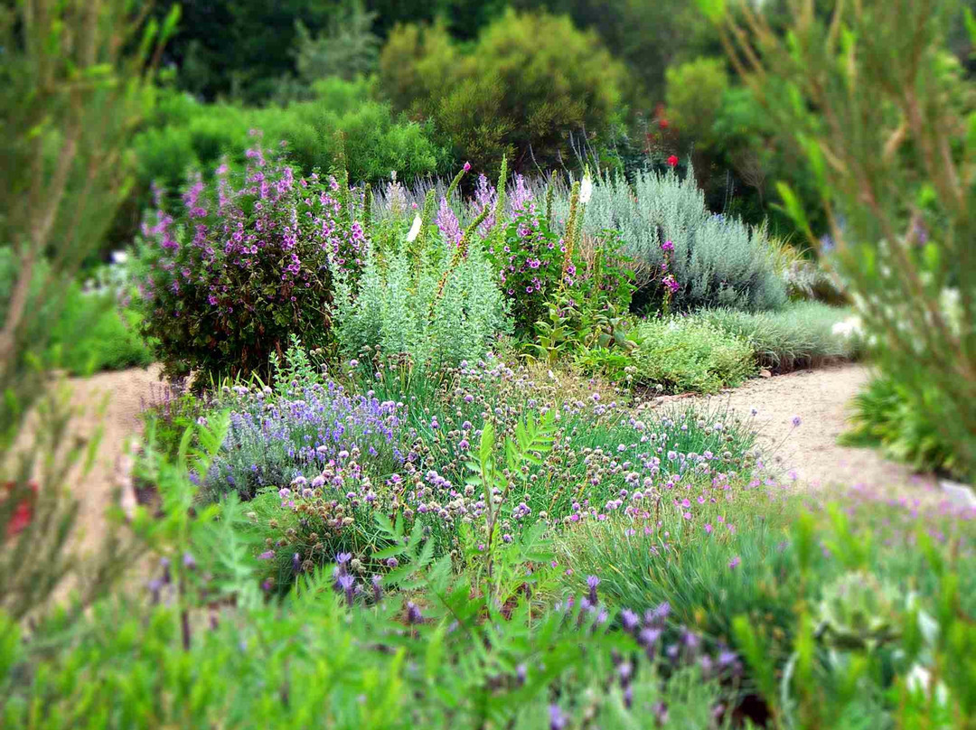 The Herb Farm景点图片