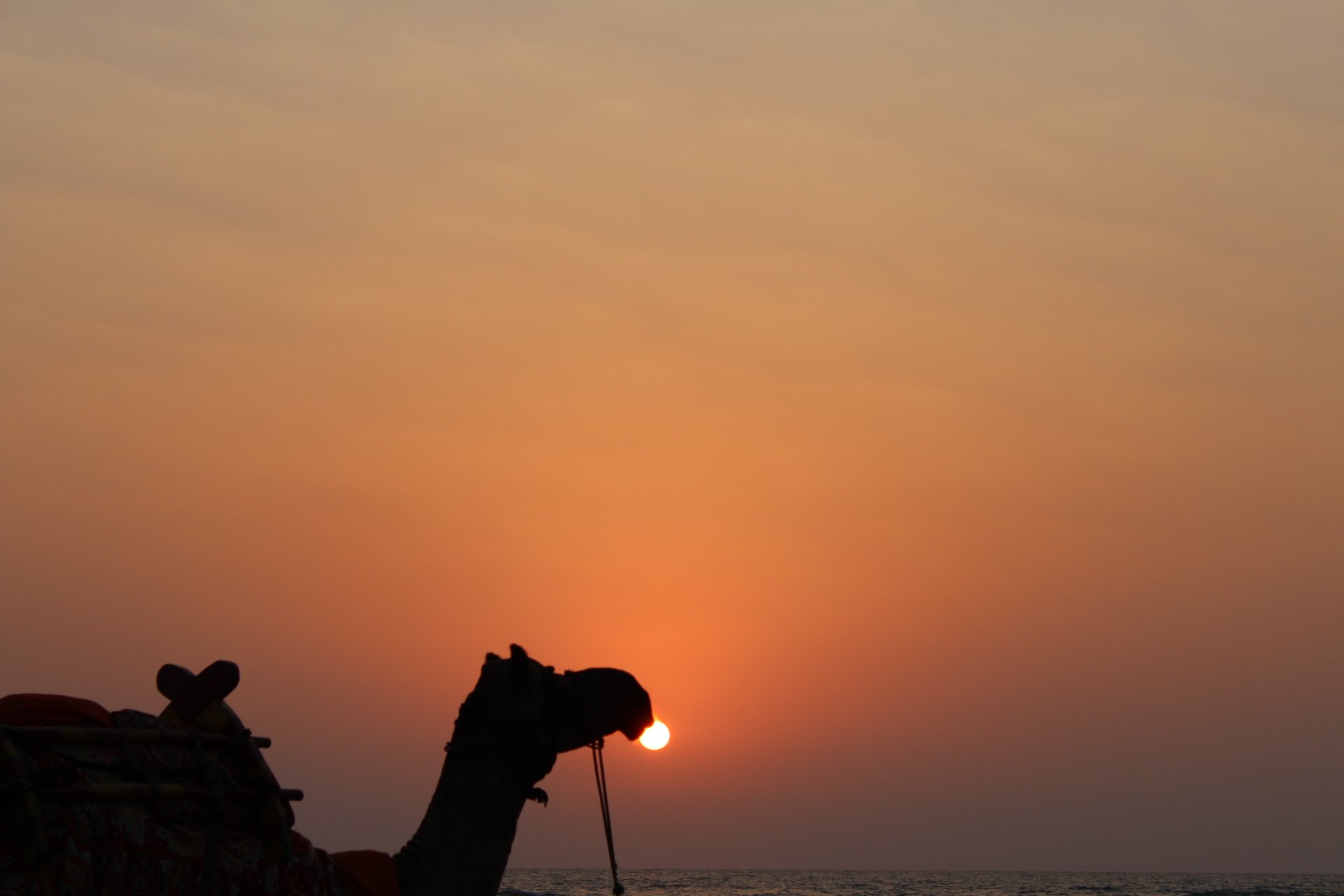 Teerthraj Beach Resort-浴室