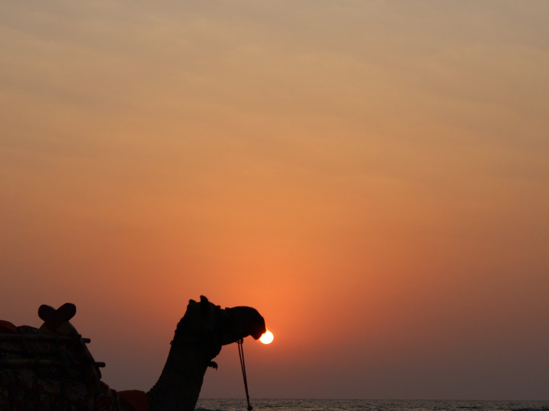 Teerthraj Beach Resort主图