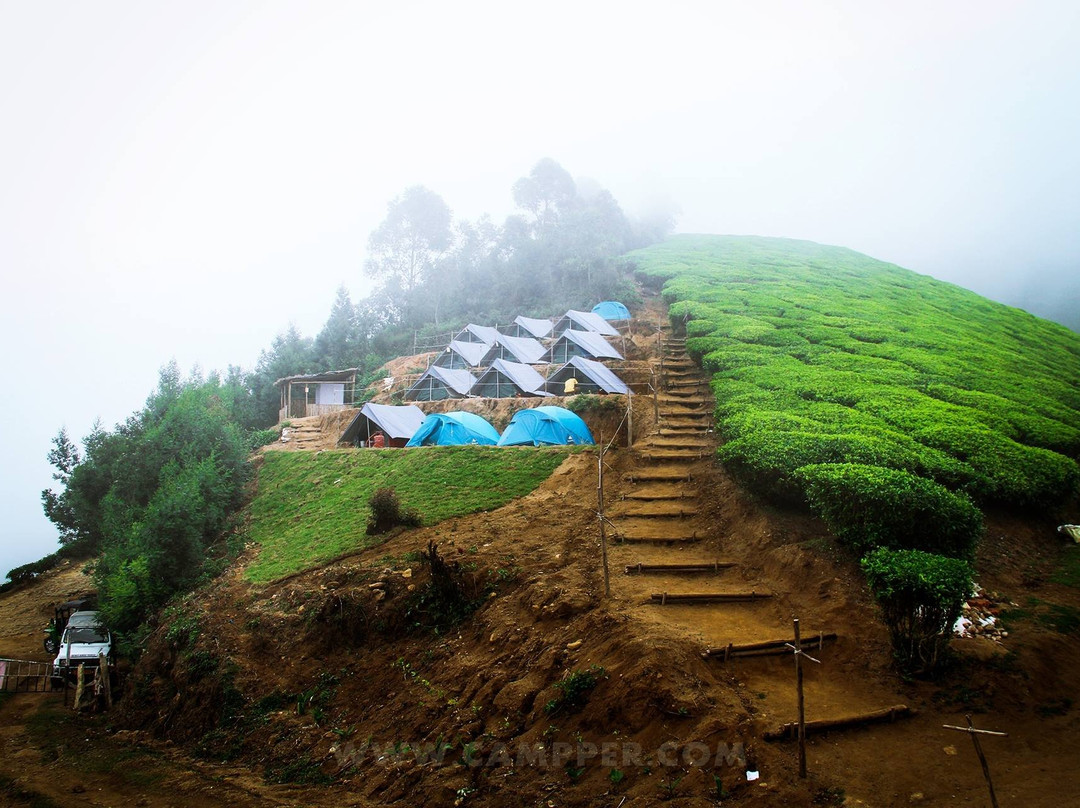 Kolukkumalai Tea Plantation Campsite