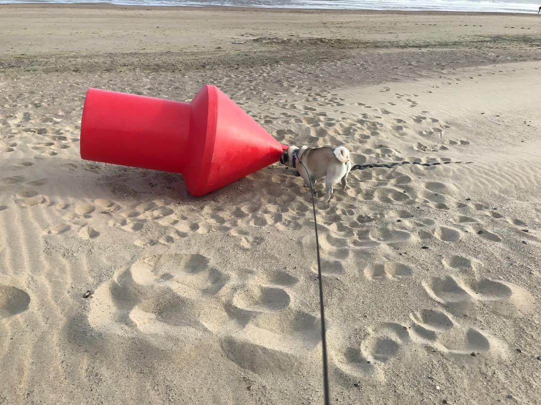 Knokke Boat Duinbergen景点图片
