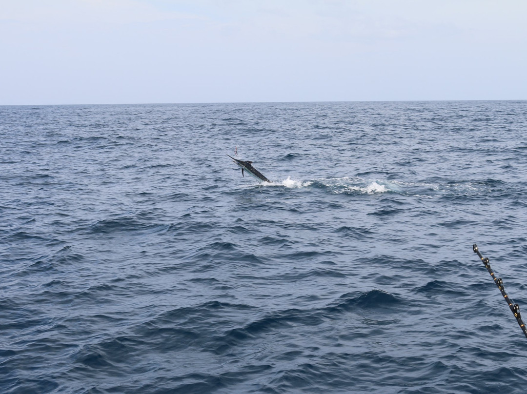 Boca Chica Big Game Fishing-Boca Chica必去景点