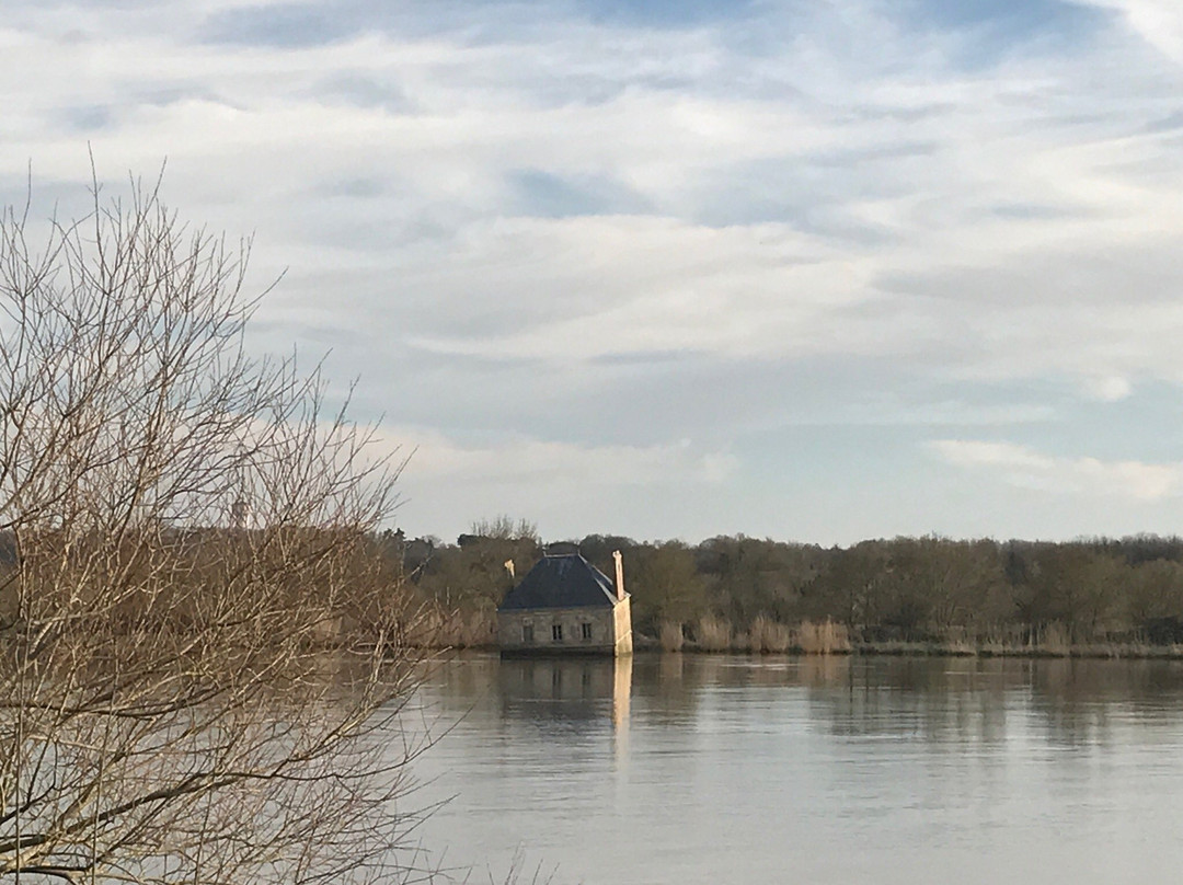 La Maison dans la Loire景点图片