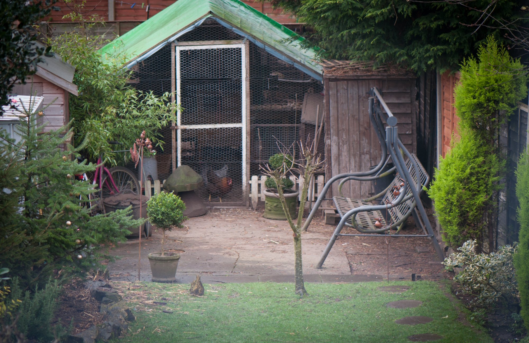 Homelea Guest House-酒店景观