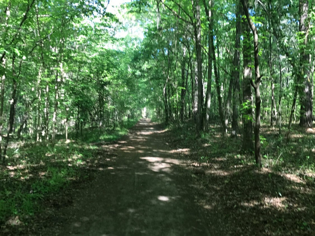 Lake Overstreet Trail-塔拉哈西必去景点