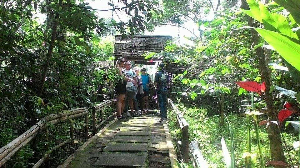 Bali Best Travels-佩艳艮必去景点