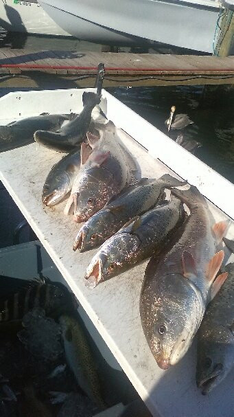 Captain Ryan Taylor Fishing Charters-布雷登顿必去景点