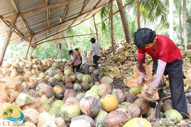 Lan Thanh tours-Ben Tre必去景点