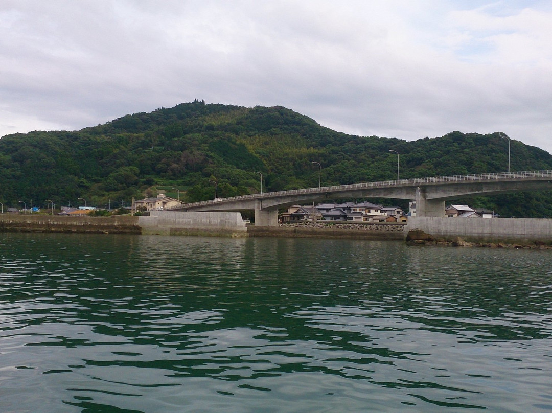Dolphin Marine World景点图片