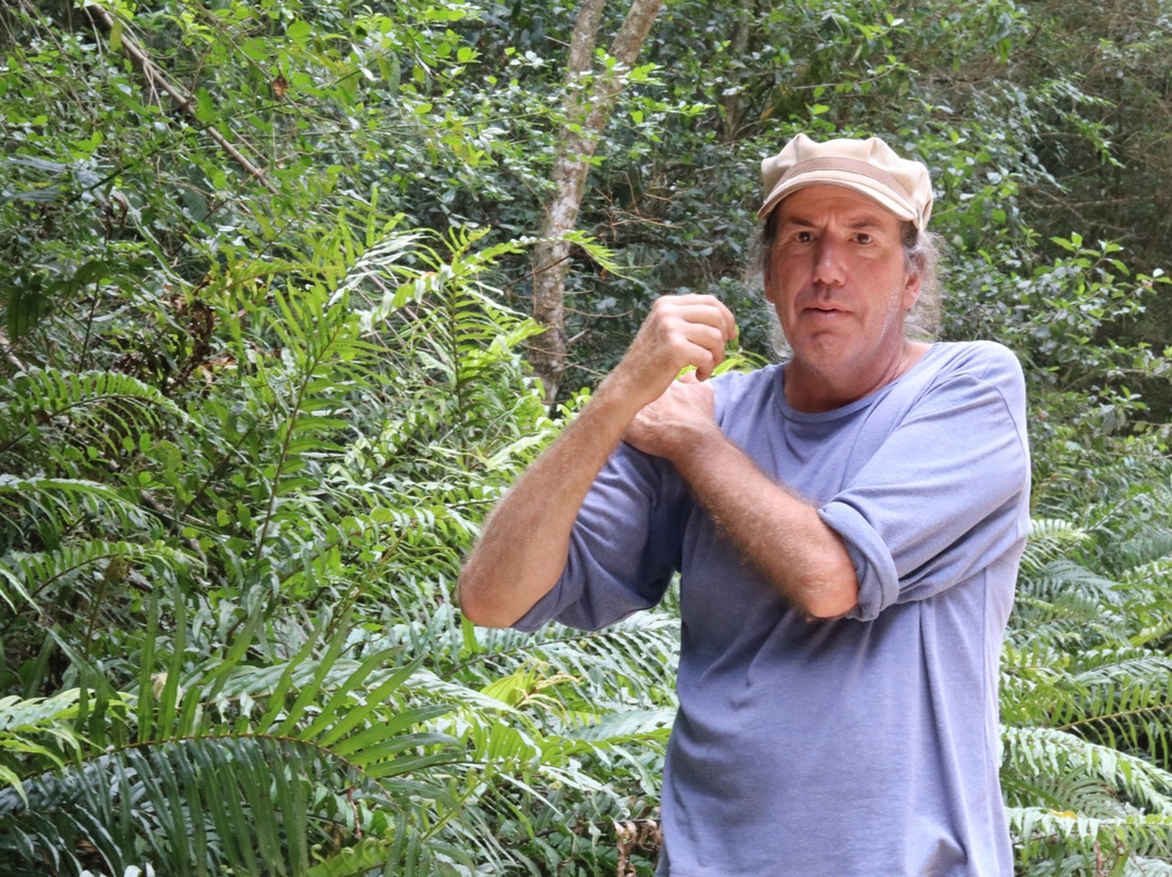 Elephant Walk-克尼斯纳必去景点